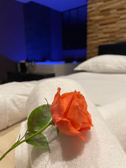 Le Cocon Des Granges - Suite Sauna Jaccuzi Spa Bonnieres-sur-Seine Luaran gambar